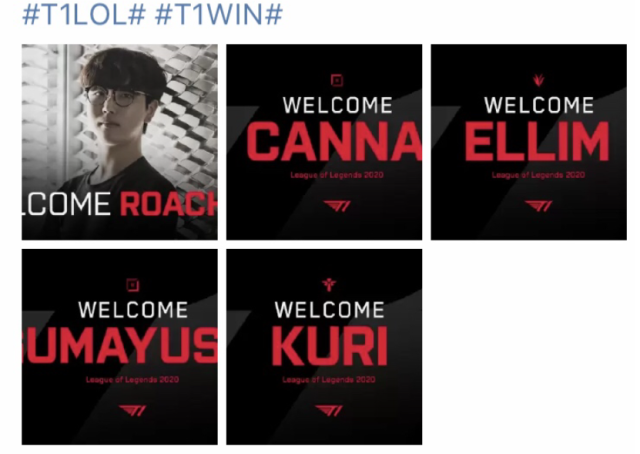 花样游泳金 花样游泳金