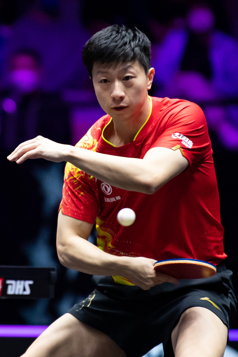 持续进化 持续进化